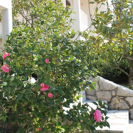 Apartments Vila Marica Rabac Εξωτερικό φωτογραφία