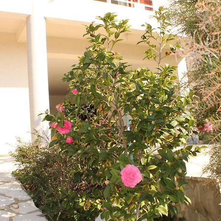 Apartments Vila Marica Rabac Εξωτερικό φωτογραφία