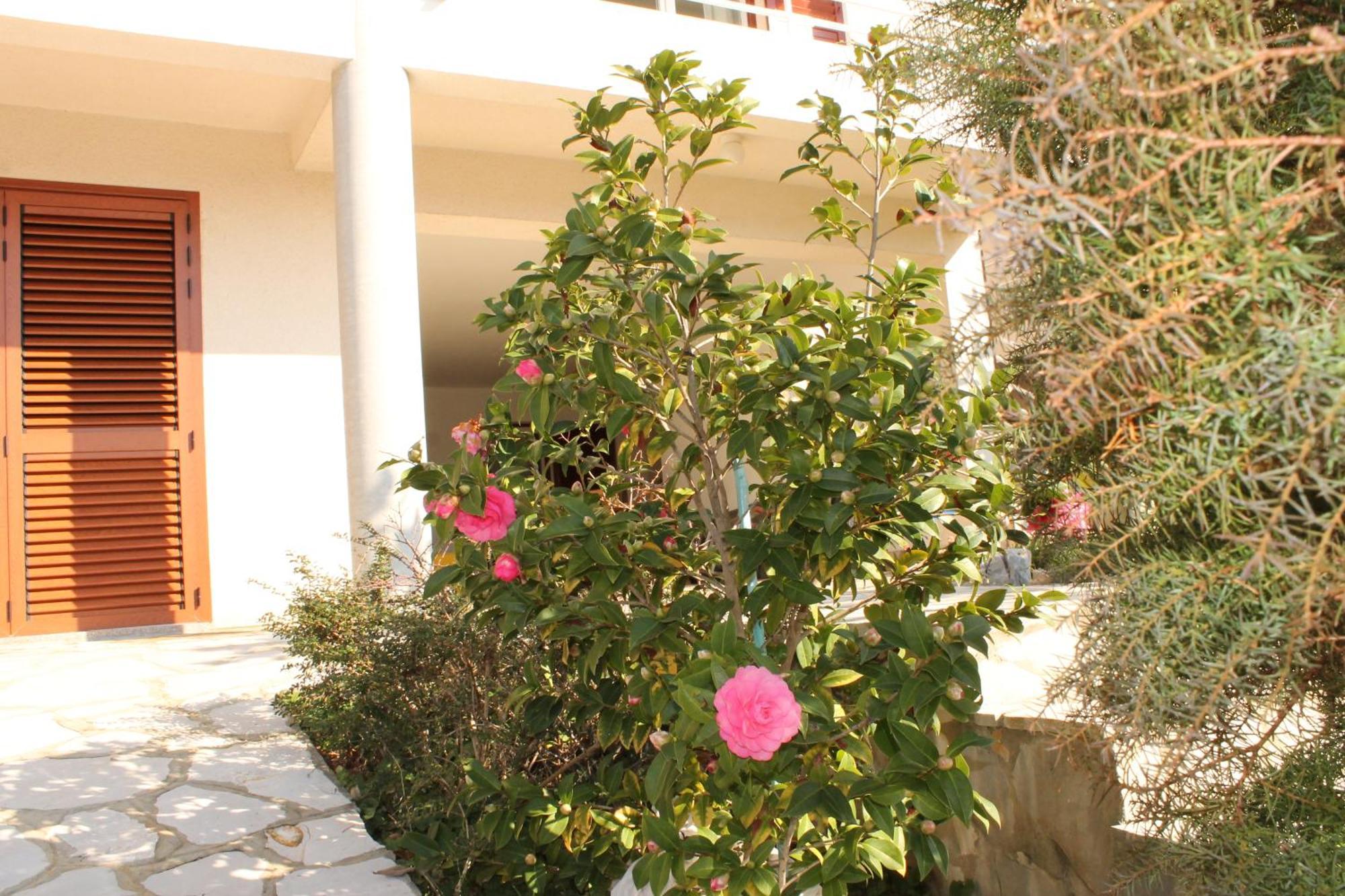 Apartments Vila Marica Rabac Εξωτερικό φωτογραφία