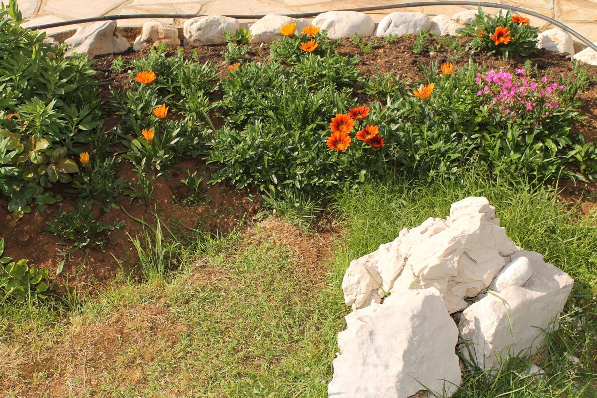 Apartments Vila Marica Rabac Εξωτερικό φωτογραφία