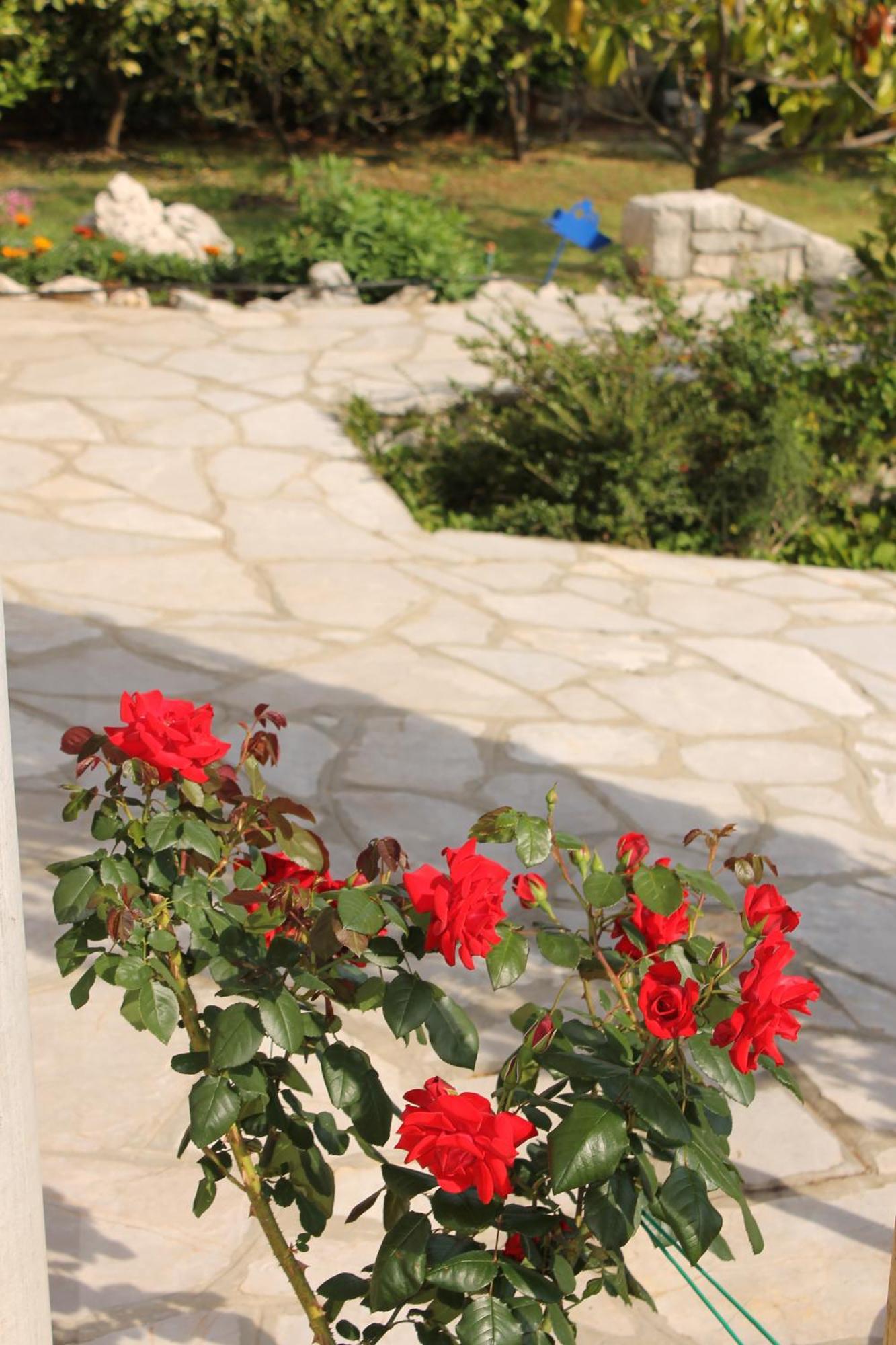 Apartments Vila Marica Rabac Εξωτερικό φωτογραφία