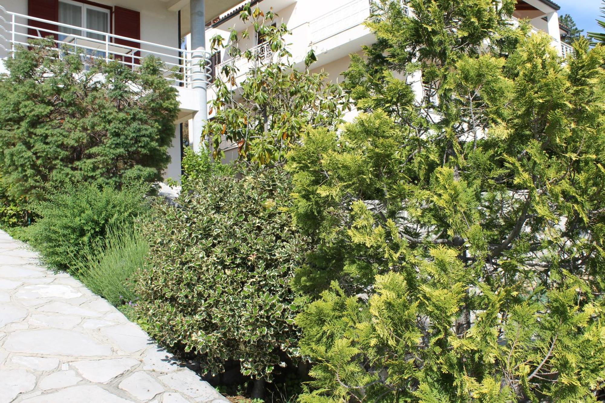 Apartments Vila Marica Rabac Εξωτερικό φωτογραφία