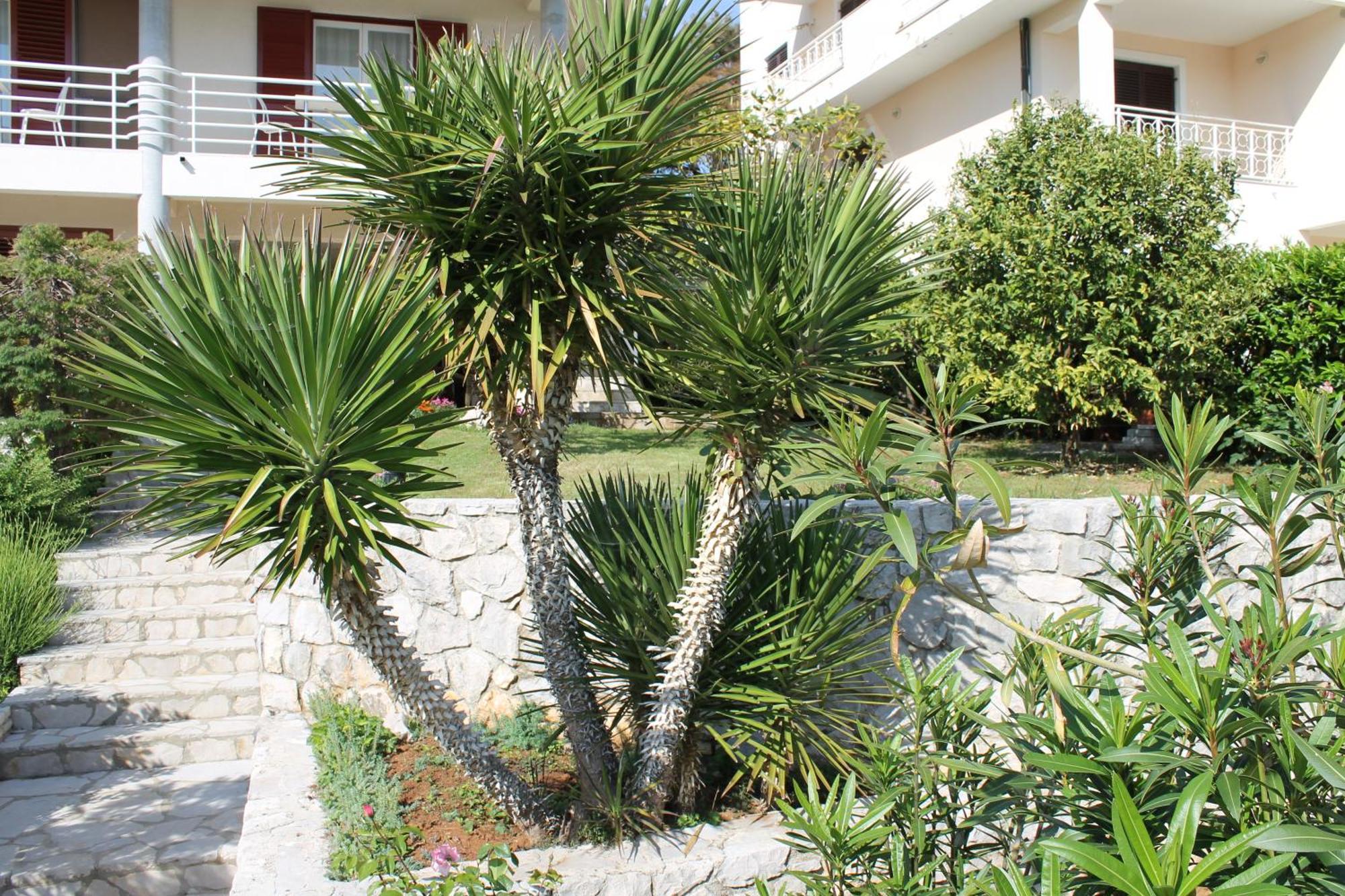 Apartments Vila Marica Rabac Εξωτερικό φωτογραφία