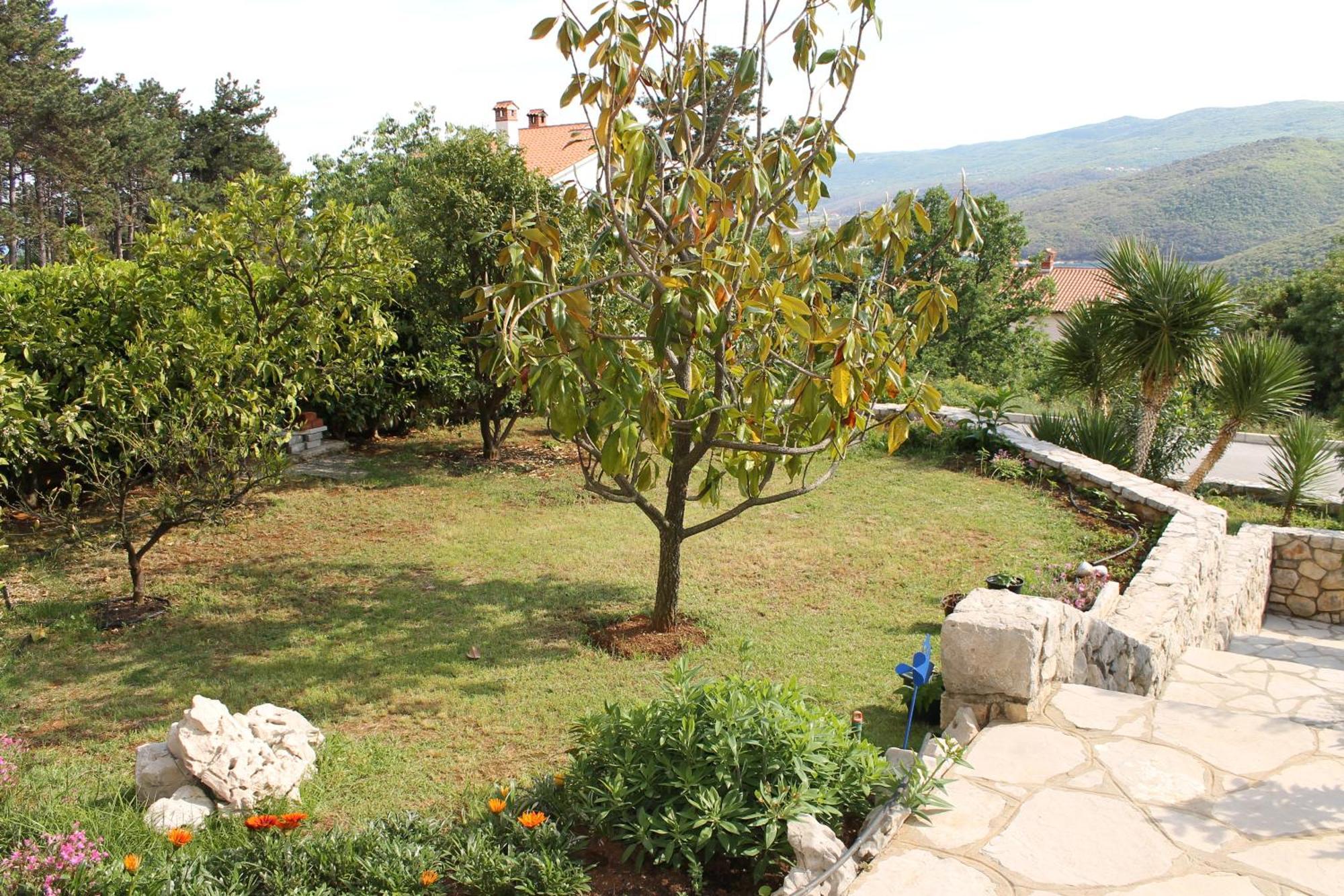 Apartments Vila Marica Rabac Εξωτερικό φωτογραφία