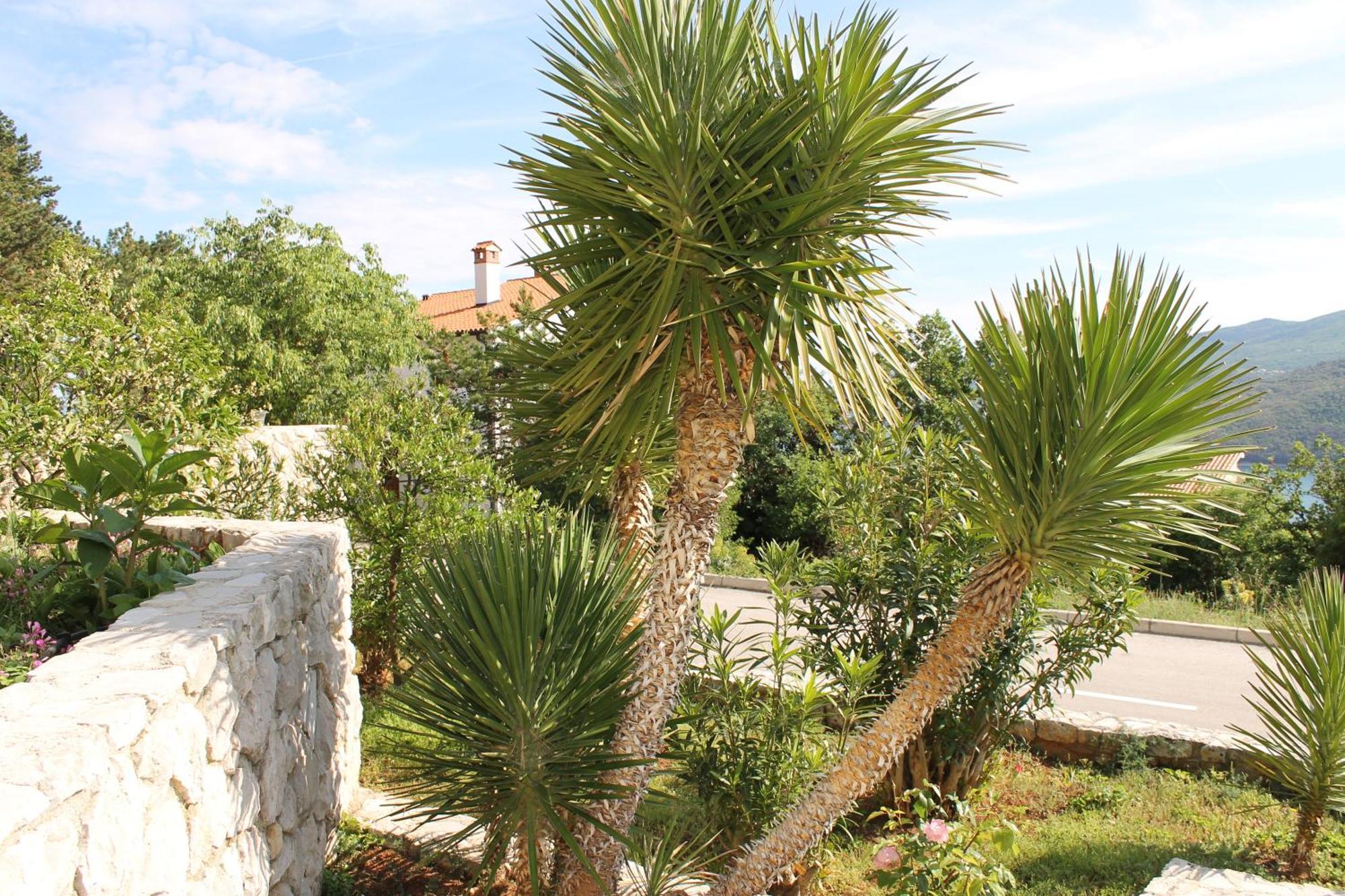 Apartments Vila Marica Rabac Εξωτερικό φωτογραφία