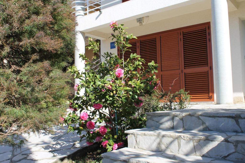 Apartments Vila Marica Rabac Εξωτερικό φωτογραφία